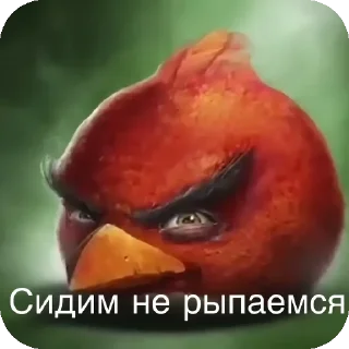 Video sticker 👄 желач хитао ок
