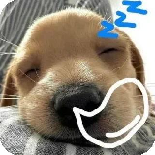 Video sticker 💤 @PizarraNegra :: @fStikBot