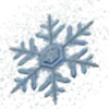 Sticker ❄️ @forumnick Arizona Emoji