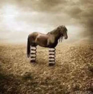 Video sticker 🐴 Dana's Death @Diavolos