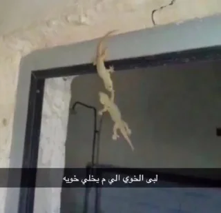 Sticker 🫡 Best friende