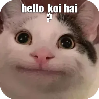 Telegram sticker 🏵 @ache_din_ane_wale_hai_i_am_back's Pack 1