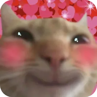 Video sticker 🥰 ⭑тч '' @Tuliiipi 🌸 @envycer