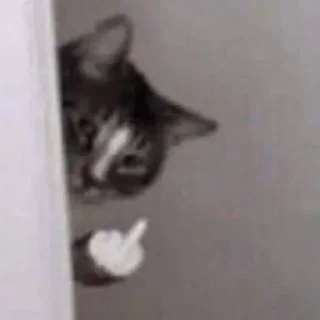 Telegram sticker 🖕 @sexstikkers