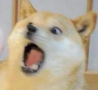 Video sticker 😳 Krishu's stic-pack (@IGRISXROBOT)