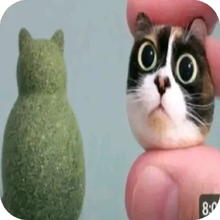 Telegram sticker 🐱 tiktok funny 2-->@strogo_stickers