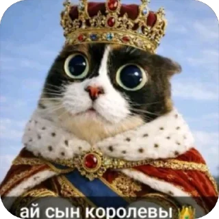 Telegram sticker 🫥 tiktok funny 2-->@strogo_stickers