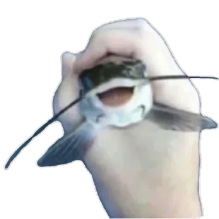 Telegram sticker 😀 Fis