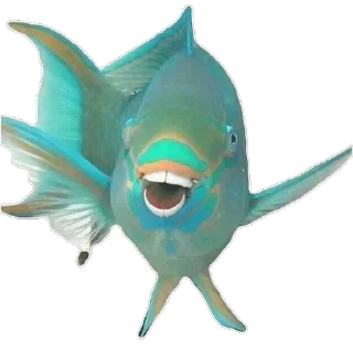 Telegram sticker 😄 Fis