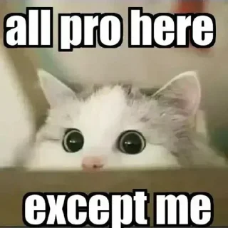 Video sticker 🤔 Karan ☭s kang pack