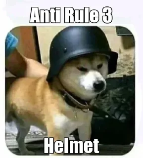 Video sticker 🔥 Karan ☭s kang pack