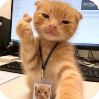 Sticker 🐱 Strawberry's shit 4.0 :: @fStikBot