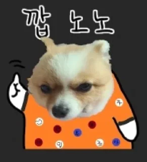 Telegram sticker 😊 주호밍스페셜