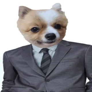 Telegram sticker 👍 주호밍스페셜