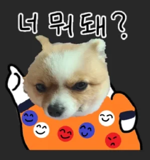 Video sticker 😀 주호밍스페셜