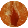 Sticker 🍊 🔞😈 𝑉𝑎𝑙𝑒𝑛𝑡𝑖𝑛𝑒'𝑠 𝐷𝑎𝑦: @Faittereya 😈🔞