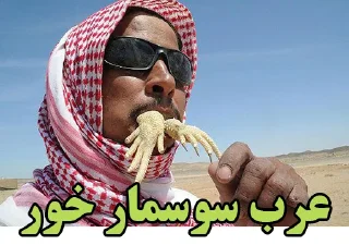 Telegram sticker 🐊 استیکر قومیتی @Shash_Gif