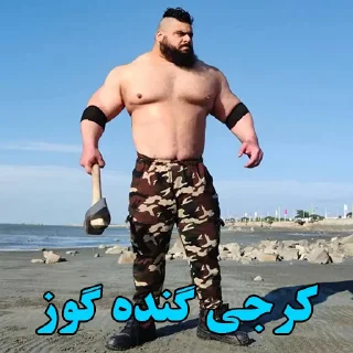 Video sticker 💨 استیکر قومیتی @Shash_Gif