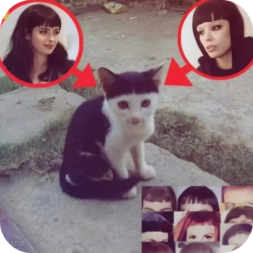 Telegram sticker 👍 @m3xw3 W:3