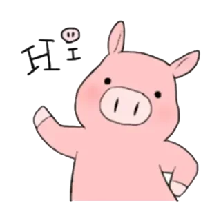 Video sticker ❇️ 小豬