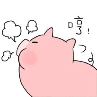 Video sticker ❇️ 小豬