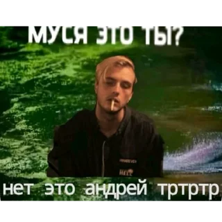 Telegram sticker 😋 пиво и пенис