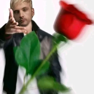 Video sticker 🌹 пиво и пенис