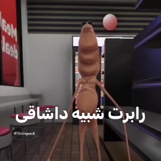 Video sticker 🪳 @Tintinpack ( داشاق ver )