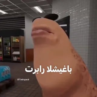 Video sticker 🪳 @Tintinpack ( داشاق ver )