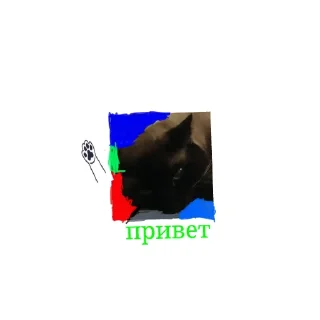 Video sticker 🐱 Super Cat