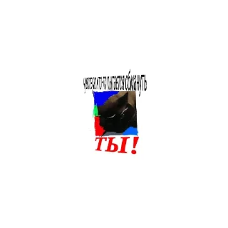 Video sticker 🤣 Super Cat