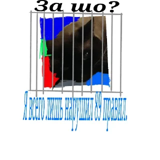 Video sticker 😿 Super Cat
