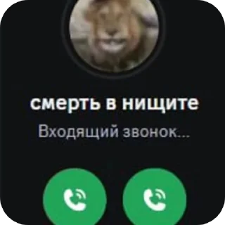 Telegram sticker 🐶 Волво