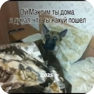Телеграм стикер 🐱 Мемчики @StickersRusbot