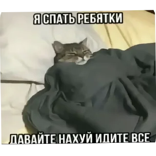 Телеграм стикер 🖼 Мемчики @StickersRusbot