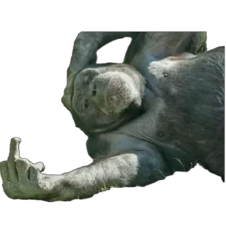 Telegram sticker 🫥 CheoNma’s