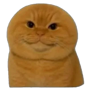 Video sticker 🫥 CheoNma’s