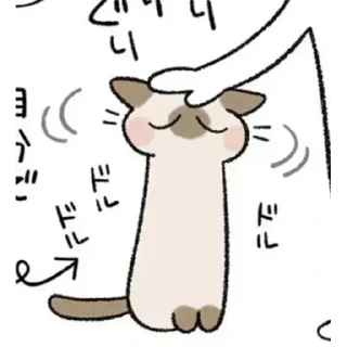 Video sticker 🍜 シャム猫あずきさん @hnkchan