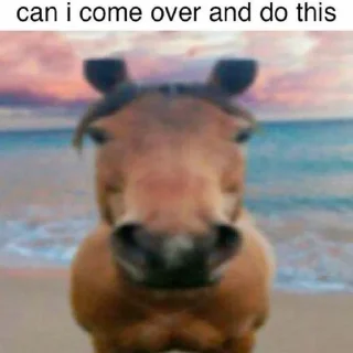 Video sticker 💜 Hors