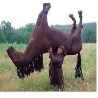 Video sticker 💯 Hors