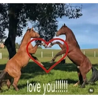 Video sticker 💔 Hors