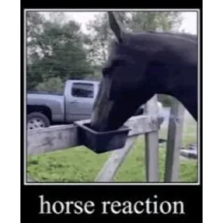 Телеграм стикер 😝 Hors