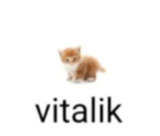Video sticker 😼 БЛЯЯТЬЛЕТИМНАХУЙ :: @fStikBot