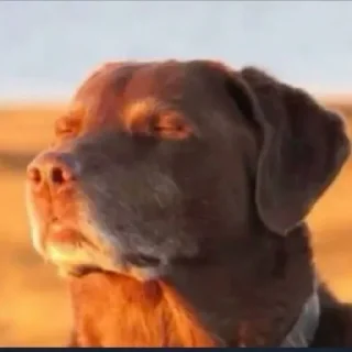 Telegram sticker 🤩 сваг стикеры @TgEmodziBot