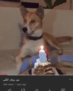 Telegram sticker 🌚 @trta1