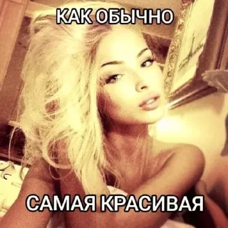 Telegram sticker 😍 𝘣𝘺 𝘉𝘢𝘶𝘴𝘩𝘬𝘢 @TgEmodziBot