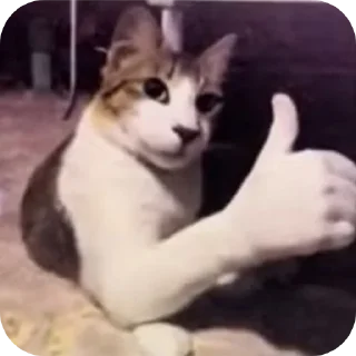 Video sticker 🐱 Optimus Prime proud of rohayem