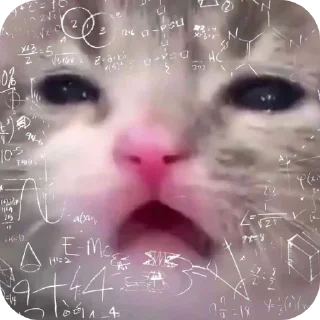 Telegram stiker 👍 Больше стиков тут: @stikery4