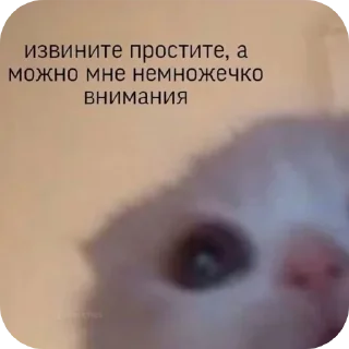 Sticker 🥰 Больше стиков тут: @stikery4