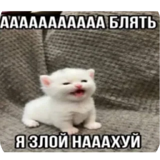 Telegram stiker 🤬 Больше стиков тут: @stikery4